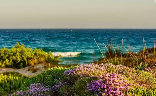 Apartamento Villetta In Alto Salento
