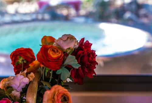 Lodge Marom Romance