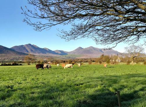 Inveraray Farmhouse B&B