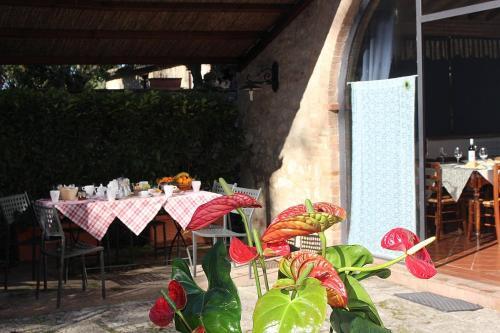 Colle Di Val D'elsa Villa Sleeps 8 Pool