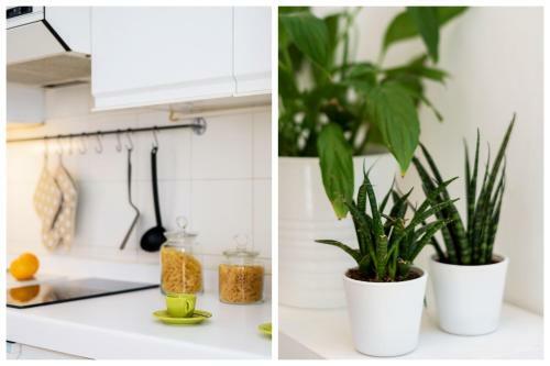 Stampa Flexyrent Apartment