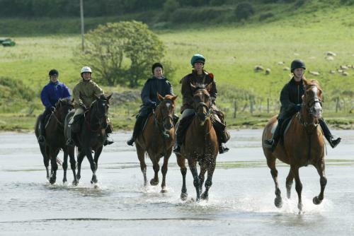 Best Western Sligo Southern Hotel & Leisure Centre
