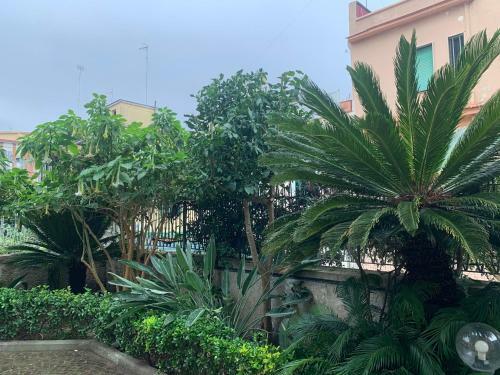 Los Mochileros Hostel