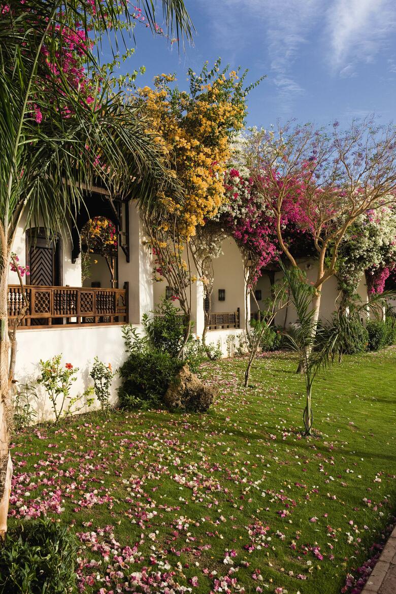 Hotel Moevenpick Resort Sharm El Sheikh
