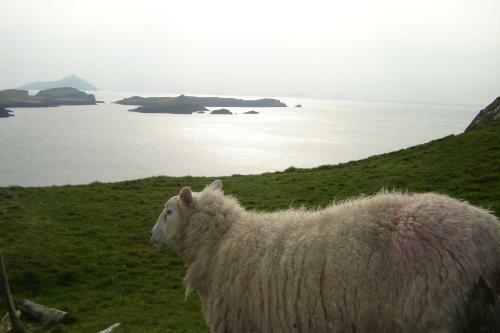 Bed & Breakfast Carraig Liath House