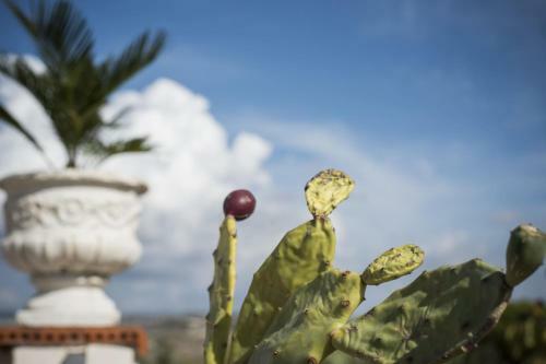 Agroturismo Poggio Vento Country House
