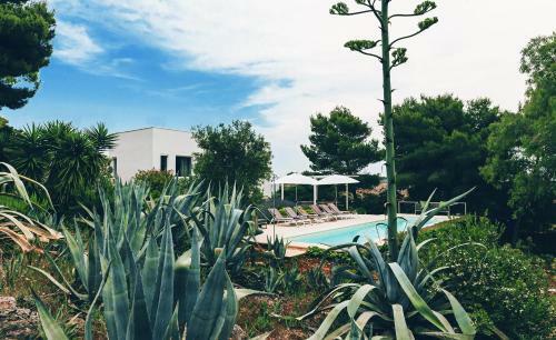 Villa Calipso