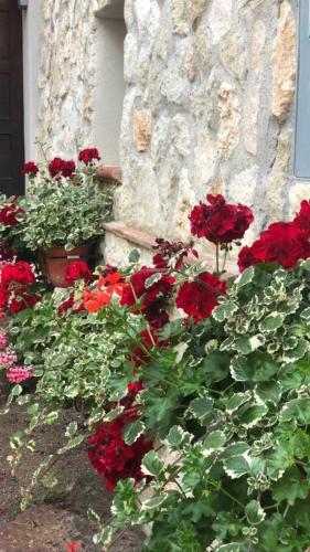 Apartamento La Casetta Di Elena