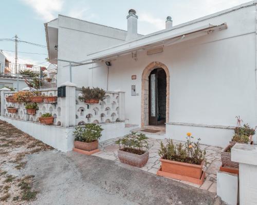 Apartamento La Casedda Di Pascarosa By Typney - P16