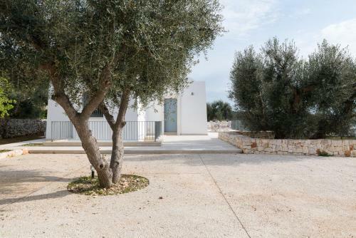 Villa Degli Ulivi By Wonderful Italy