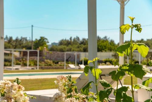 Bed & Breakfast Tenuta Ermes