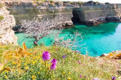 Apartamento Casa Vacanze Raffaella In Salento