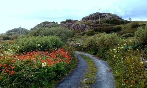 Maol Reidh Hotel