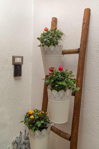 Il Palchetto B&B Di Charme E Design