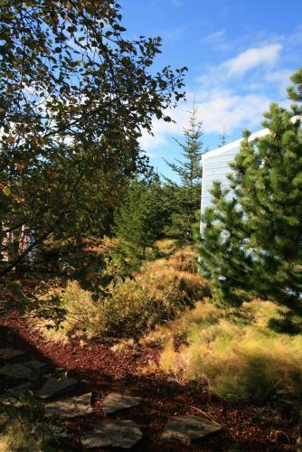 Iceblue Lodge B&B