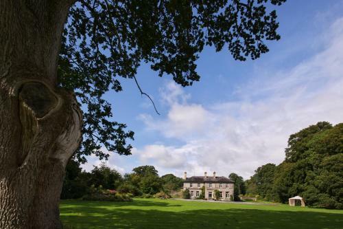 Bed & Breakfast Mornington House