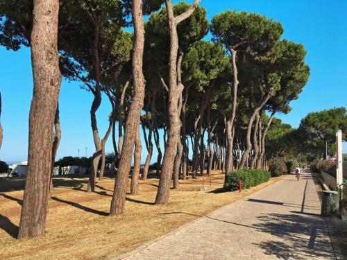 Apartamentos Locazione Turistica D'annunzio - Pit125-3