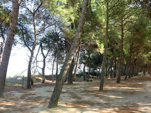 Apartamentos Locazione Turistica D'annunzio - Pit125-2