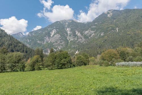 Apartamento Appartamento Adamello 11