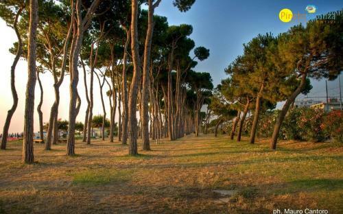 Apartamento Acqua Marina Pineto Vacanza