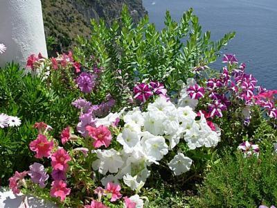 Praiano Villa Sleeps 4 Air Con Wifi