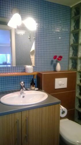 S�lheimar Studio Apartment