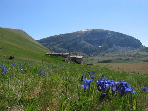 Hotel Passo Buole