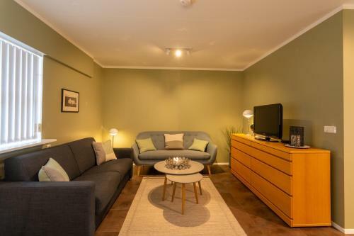 Akureyri Downtown Apartment Duggufjara