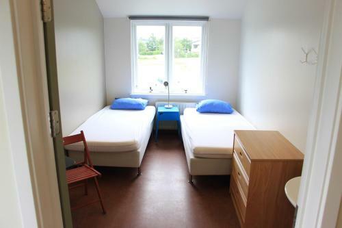 Lava Hostel