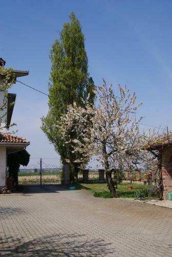 Bed & Breakfast Antico Pioppo