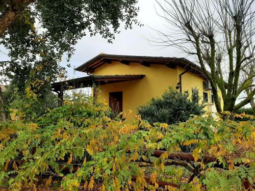 Agroturismo Agriturismo Podere Bedin