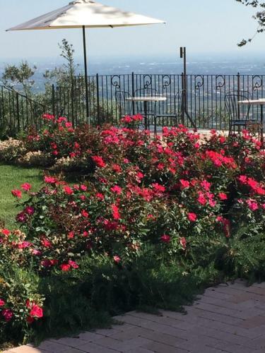 Agroturismo Il Biotto