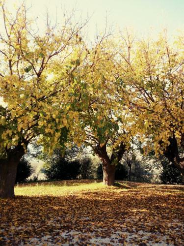 Agroturismo I Duchi Pellegrini