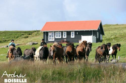 Hostal Hestheimar