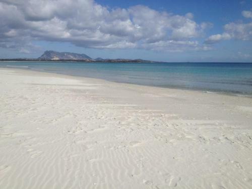 Apartamento Appartamento Iris 300 Mt Spiaggia