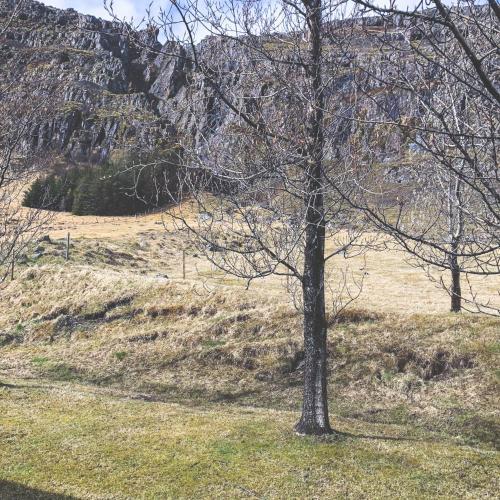 Hostal Guesthouse Sk�lafell