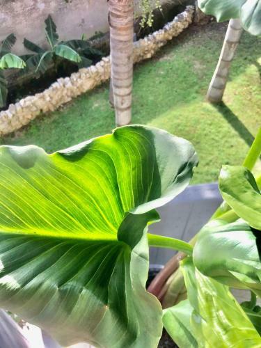Bed & Breakfast Villa & Mare