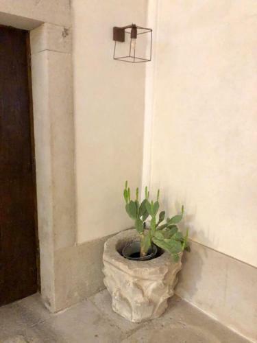 Palazzo Romanelli B&B