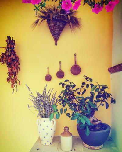 Tuara B&B