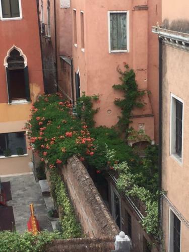 Apartamento Venice Luxury Palace