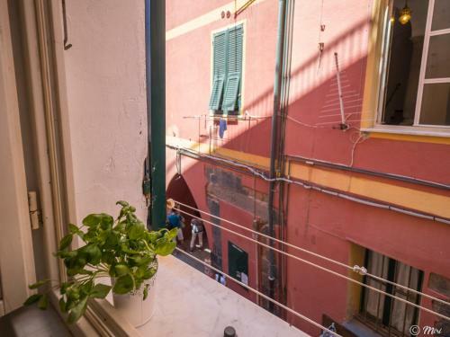 Apartamento Rundanina Village Life Studio