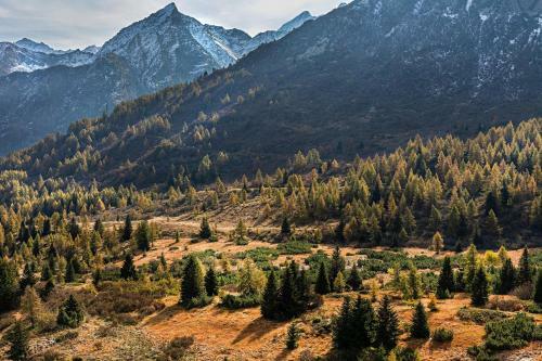 Apartamento Torre Al Tonale
