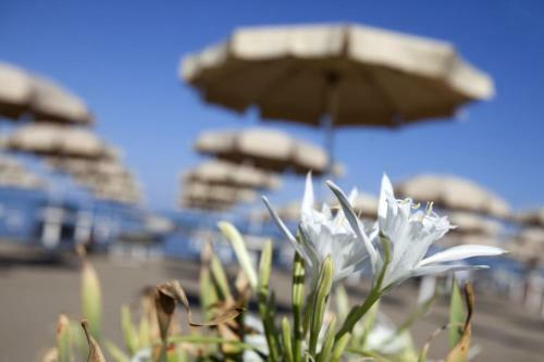 Apartamento Happy Sea Home - Monolocale Sul Mare