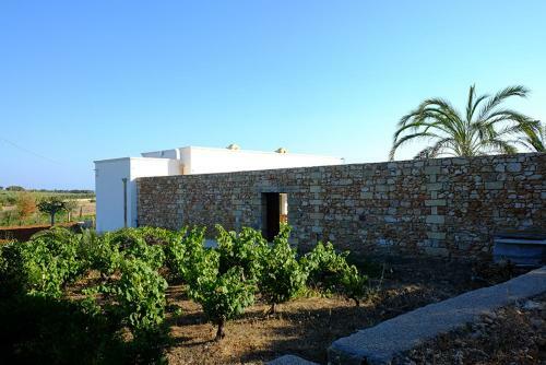 Agroturismo Relais Masseria Sant'antonio