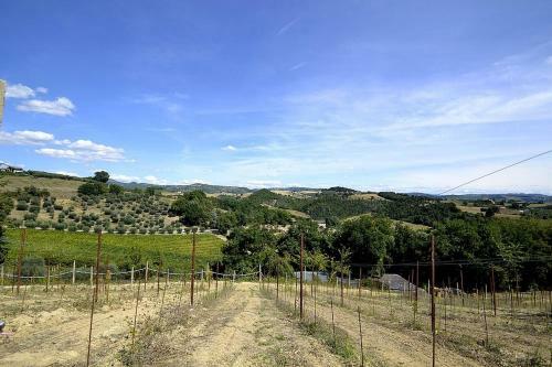 Osteria Di Ramazzano Villa Sleeps 7 Pool Air Con