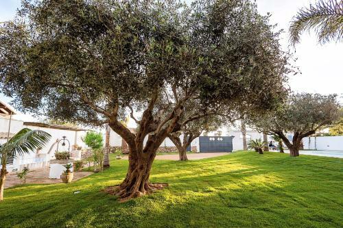 Lido Signorino Apartment Sleeps 5 Pool Air Con