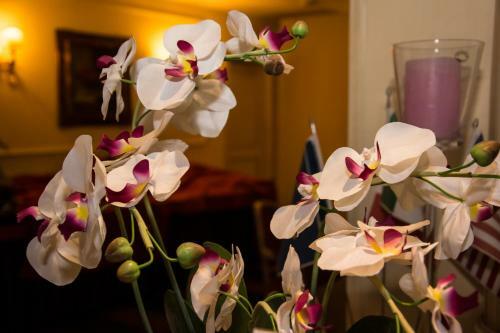 Hotel Quadrifoglio Roma Eur