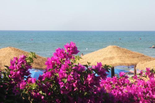 Camping Valle D'oro