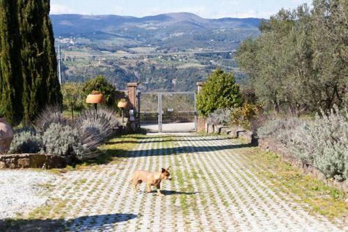 Agroturismo Agriturismo Antico Podere Il Polveraio