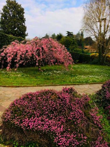 B&B La Rosa Dei Venti